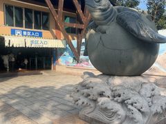 -广东惠东海龟国家级自然保护区