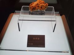 -安徽省地质博物馆