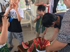 -庞各庄翠芳园西瓜蔬菜基地采摘园