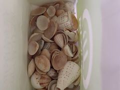 -三亚亚龙湾瑞吉度假酒店