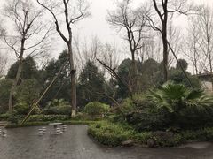 -青城道汤池