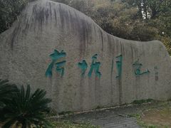 -荷塘月色湿地公园·向阳花洲
