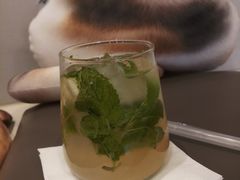 荔枝莫吉托-飞行喵MR PILOT|猫舍·猫咖(静安大融城店)