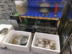 水产区-阿杰臻选海鲜饭店(普陀山店)