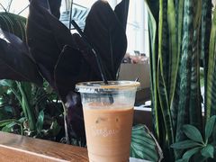 -Seesaw Coffee(朝阳大悦城店)