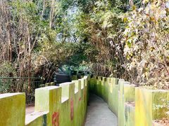 -大嶝英雄三岛战地观光园