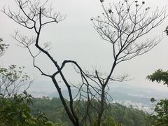 -火炉山森林公园
