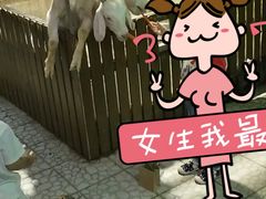 -上海大自然野生昆虫馆(东方明珠·爬宠昆虫探索中心)