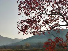 -塔川景区