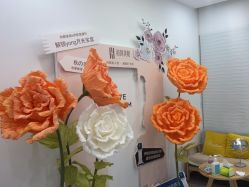 -和颜一美轻医美连锁