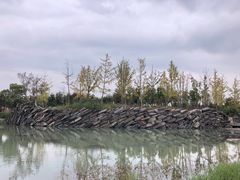 -滆湖低碳生态公园