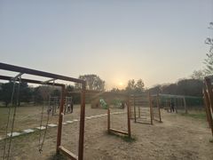 -大兴滨河森林公园