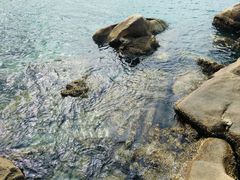 -观海酒廊(惠州金海湾喜来登度假酒店)
