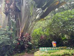 -海南热带野生动植物园
