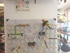 -吉丁鸟咖·异宠·寄养