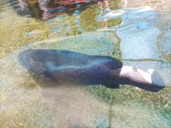 -鸿通城购物中心