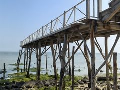 -北海金海湾红树林生态旅游区