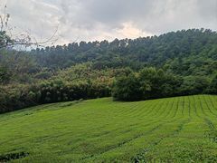 -敬亭山风景名胜区