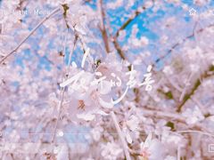 -朝阳公园