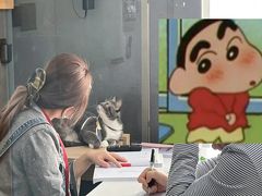 -帝京日语(春熙路旗舰校区)