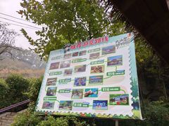 -栾川竹海野生动物园