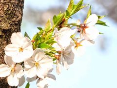 -宁波大学附属第一医院(外滩院区)