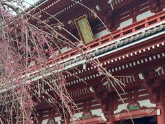 -浅草寺
