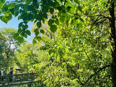 -龙苍沟森林公园