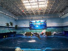 -多彩贵州城极地海洋世界