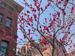 -天津五大道文化旅游区