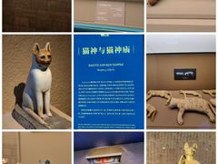 -上海博物馆