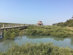 -北海金海湾红树林生态旅游区