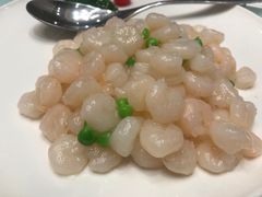 -新吉士·上海菜(浦东LCM置汇旭辉店)