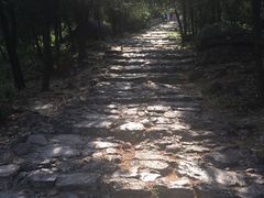 -阳台山自然风景区