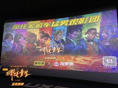 -新影联·华谊兄弟影院(望京店)