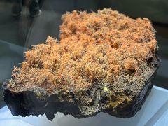 -湖南省地质博物馆