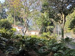 -深圳仙湖植物园
