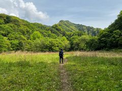-终南山国家森林公园