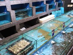 水产区-香顺·客家菜(东坑店)