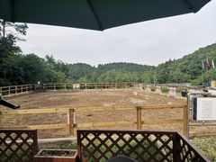 -枫露马术学院(藏书校区)