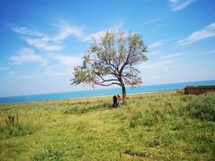 -青海湖国家重点风景名胜区