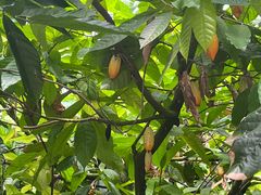 -歌斐颂巧克力小镇