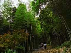 -仙霞关景区