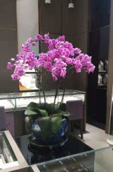 -周大福CHOW TAI FOOK(金汇广场珠宝店)