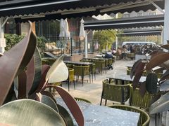 -the rug 飞毯 (朝阳公园店)