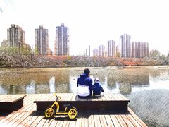 -前关湿地公园
