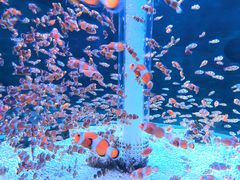 -海合安成都极地海洋公园