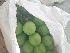 -马陆小张葡萄园农家乐