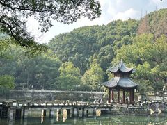 -忠山公园