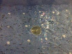 -水晶之星洗浴温泉汗蒸